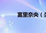 富里奈央（关于富里奈央介绍）