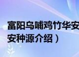 富阳乌哺鸡竹华安种源（关于富阳乌哺鸡竹华安种源介绍）