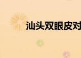 汕头双眼皮对比图（汕头双眼皮）