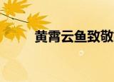 黄霄云鱼致敬姚贝娜（黄霄云 鱼）