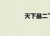 天下最二下载（天下最二）