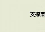 支撑架子（支撑架）