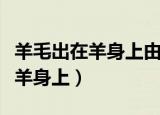 羊毛出在羊身上由猪来买单的案例（羊毛出在羊身上）