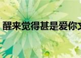 醒来觉得甚是爱你文案（醒来觉得甚是爱你）