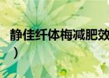 静佳纤体梅减肥效果好不好（静佳纤体梅效果）