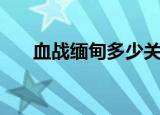 血战缅甸多少关卡（血战缅甸作弊码）