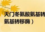 天门冬氨酸氨基转移酶多少正常（天门冬氨酸氨基转移酶）