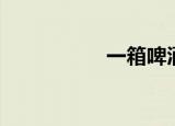 一箱啤酒（一箱啤酒）