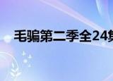 毛骗第二季全24集下载（毛骗第二季12）