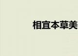 相宜本草美白润养乳（i贴吧）
