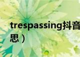 trespassing抖音原版（trespassing什么意思）