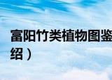 富阳竹类植物图鉴（关于富阳竹类植物图鉴介绍）