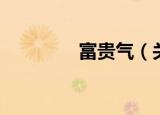 富贵气（关于富贵气介绍）