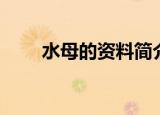 水母的资料简介作文（水母的资料）
