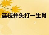 连枝并头打一生肖（登堂入室打一正确生肖）