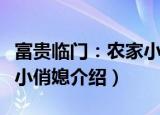 富贵临门：农家小俏媳（关于富贵临门：农家小俏媳介绍）
