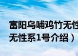 富阳乌哺鸡竹无性系1号（关于富阳乌哺鸡竹无性系1号介绍）