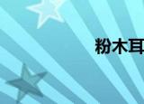 粉木耳是什么意思？