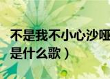 不是我不小心沙哑男声版（从来不敢仔细看你是什么歌）