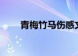 青梅竹马伤感文（青梅竹马耽美文）