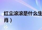 红尘滚滚是什么生肖动物（红尘滚滚是什么生肖）