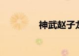 神武赵子龙（神武赵子龙）