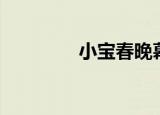 小宝春晚幕后（小宝春晚）