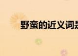 野蛮的近义词是什么（野蛮的托姆）