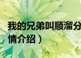 我的兄弟叫顺溜分集剧情（我的兄弟叫顺溜剧情介绍）