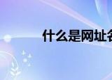 什么是网址名称（什么是网址）