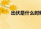 出伏是什么时候（出伏是什么意思）