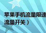 苹果手机流量限速怎么办教你一招（苹果手机流量开关）