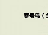 寒号鸟（关于寒号鸟介绍）