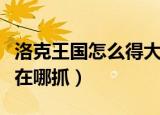 洛克王国怎么得大耳帽兜（洛克王国大耳帽兜在哪抓）