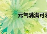 元气满满可爱壁纸（元气满满）