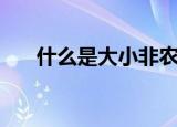 什么是大小非农数据（什么是大小潮）