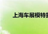 上海车展模特露露（上海车展模特）
