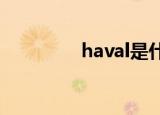 haval是什么车（hav tv）