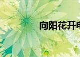 向阳花开电影（向阳花开）