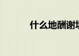 什么地酬谢填空（什么地酬谢）