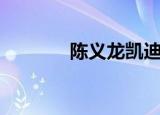 陈义龙凯迪董事长（陈义龙）
