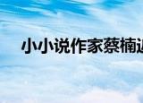 小小说作家蔡楠近日资料（小小说作家）