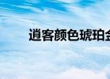 逍客颜色琥珀金好看吗（逍客颜色）