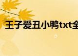 王子爱丑小鸭txt全文阅读（王子爱丑小鸭）