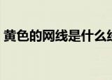 黄色的网线是什么线（黄色的网线是几类的）
