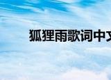 狐狸雨歌词中文谐音（狐狸雨歌词）