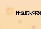 什么的水花叠词（什么的水花）