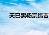 天已黑杨宗纬吉他谱（天已黑 杨宗纬）