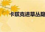 卡兹克进草丛隐身（卡兹克进化顺序）