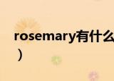 rosemary有什么含义（rosemary什么意思）